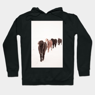 Icelandic Horses Walking Hoodie